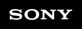 Sony ES